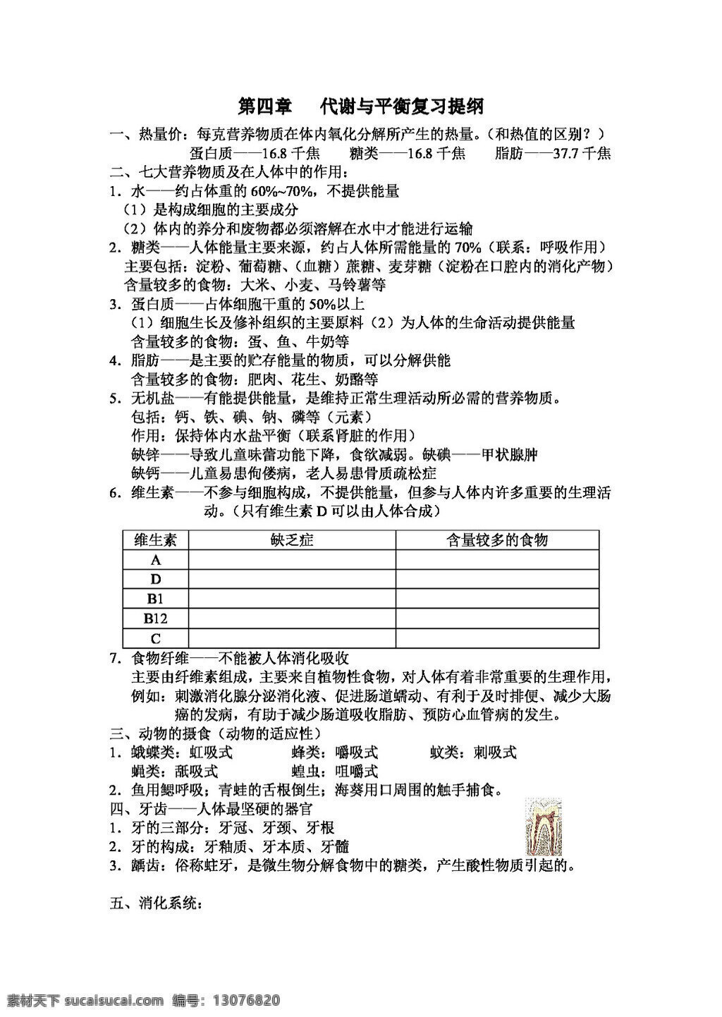 九 年级 上 科学 第四章 代谢与平衡 复习提纲 试题试卷 浙教版
