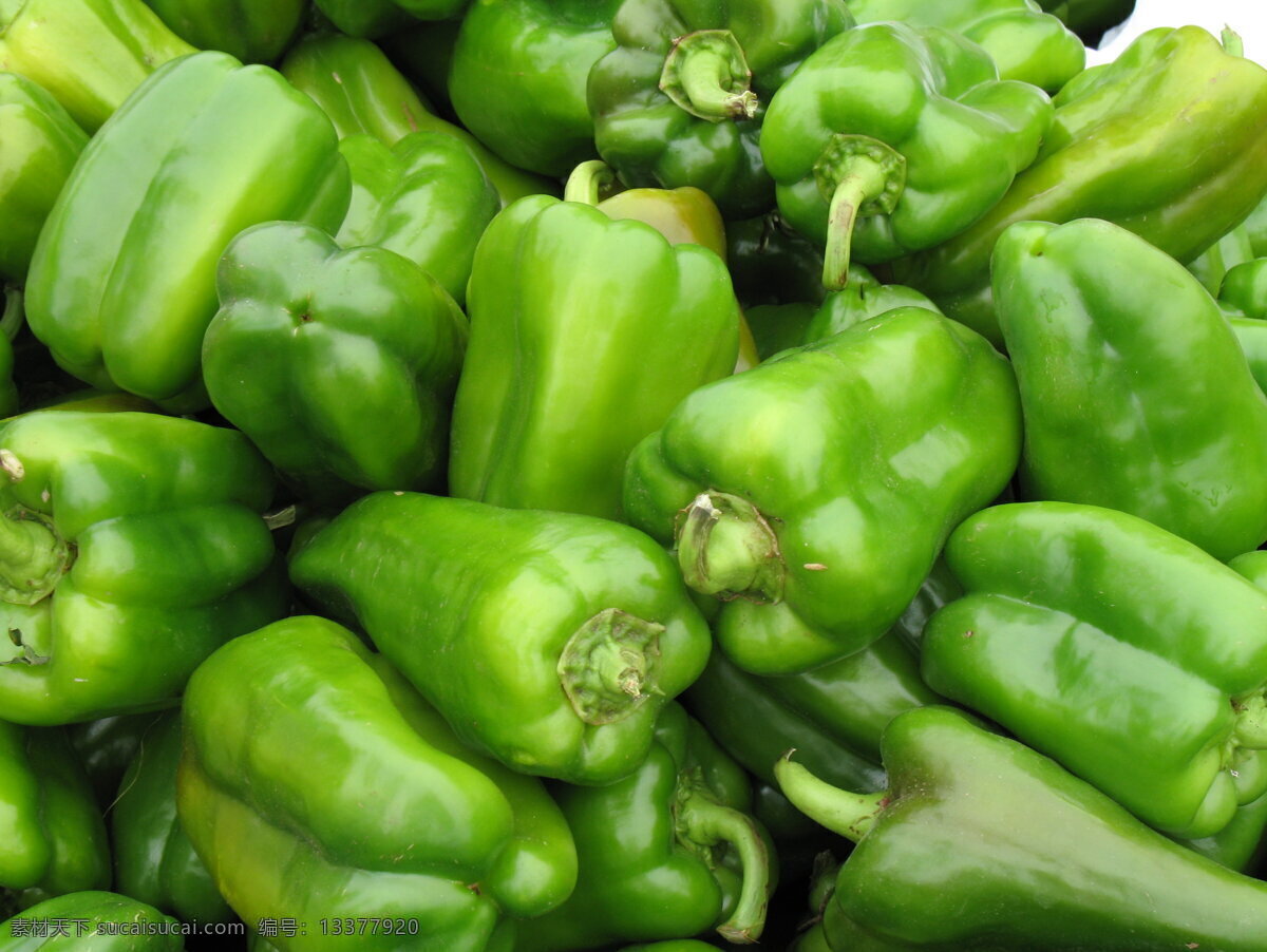 青椒 辣椒 食材 蔬菜 大辣椒 生物世界
