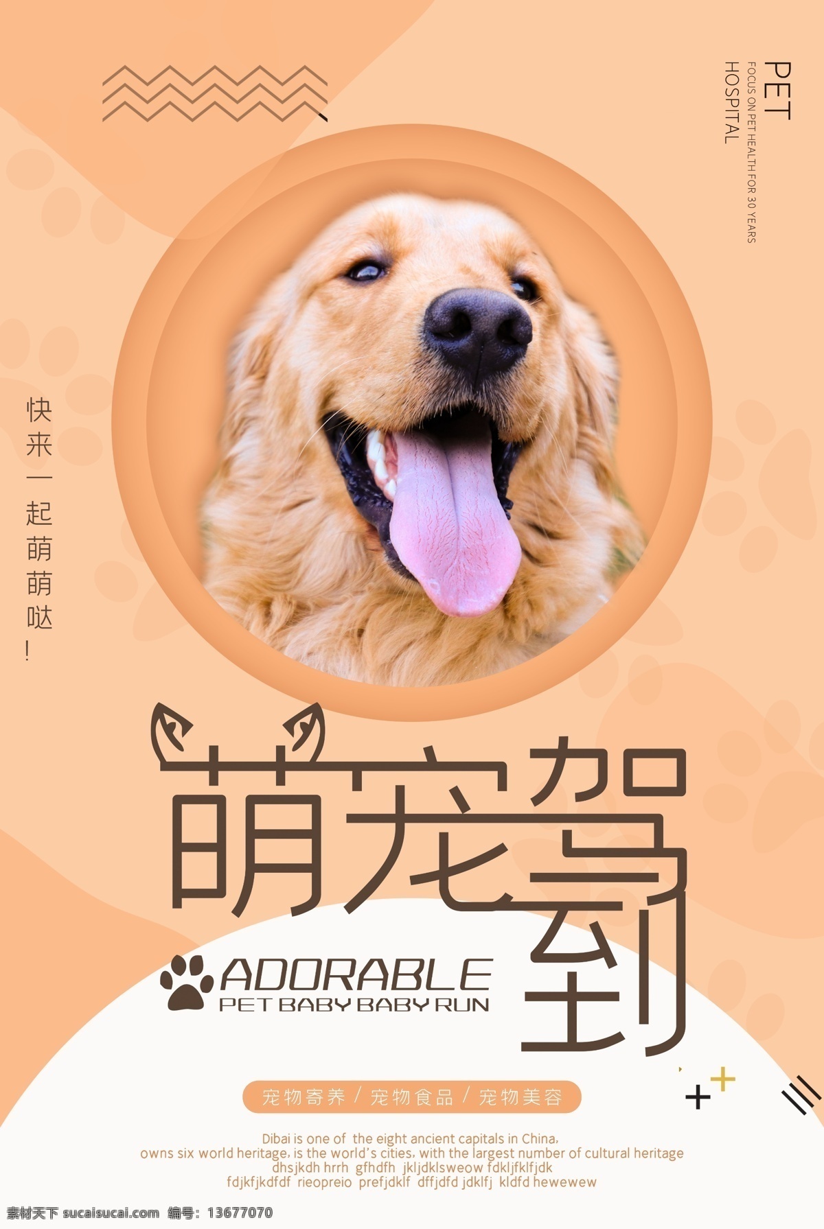 宠物店海报 宠物 宠物店 宠物海报 宠物医院 宠物用品 宠物用品店 宠物店广告 宠物美容 宠物超市 宠物商店 宠物广告 宠物生活馆 宠物店开业 宠物用品海报 宠物用品广告 宠物用品展板 宠物店宣传 宠物店促销 宠物用品宣传 宠物用品促销 宠物店dm单 宠物店宣传单 dm 单