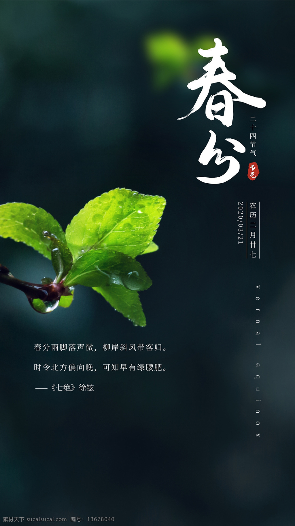 春分 海报 节气 微信 公众号 二十四 绿叶 文化艺术 节日庆祝