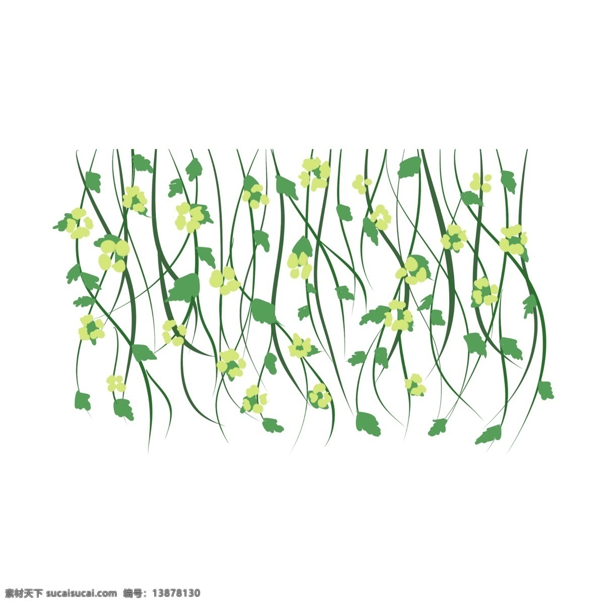 绿植 长 藤 鲜花 插画 植物长花藤 黄色花朵柳条 绿色枝藤 春季植物花朵 绿植长藤插画 鲜花枝藤