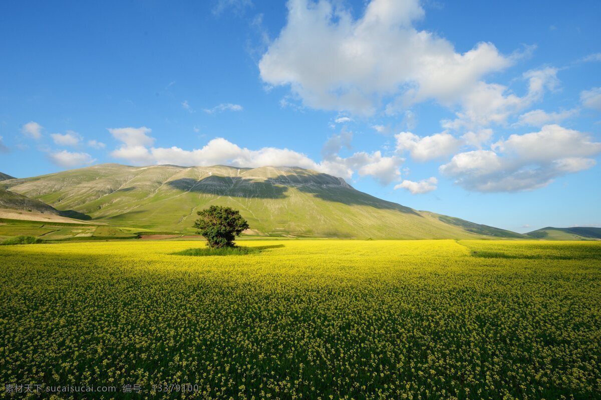 风景 风光 自然风光 菜地 旷野 山地 油菜地 蓝天白云 自然景观 田园风光