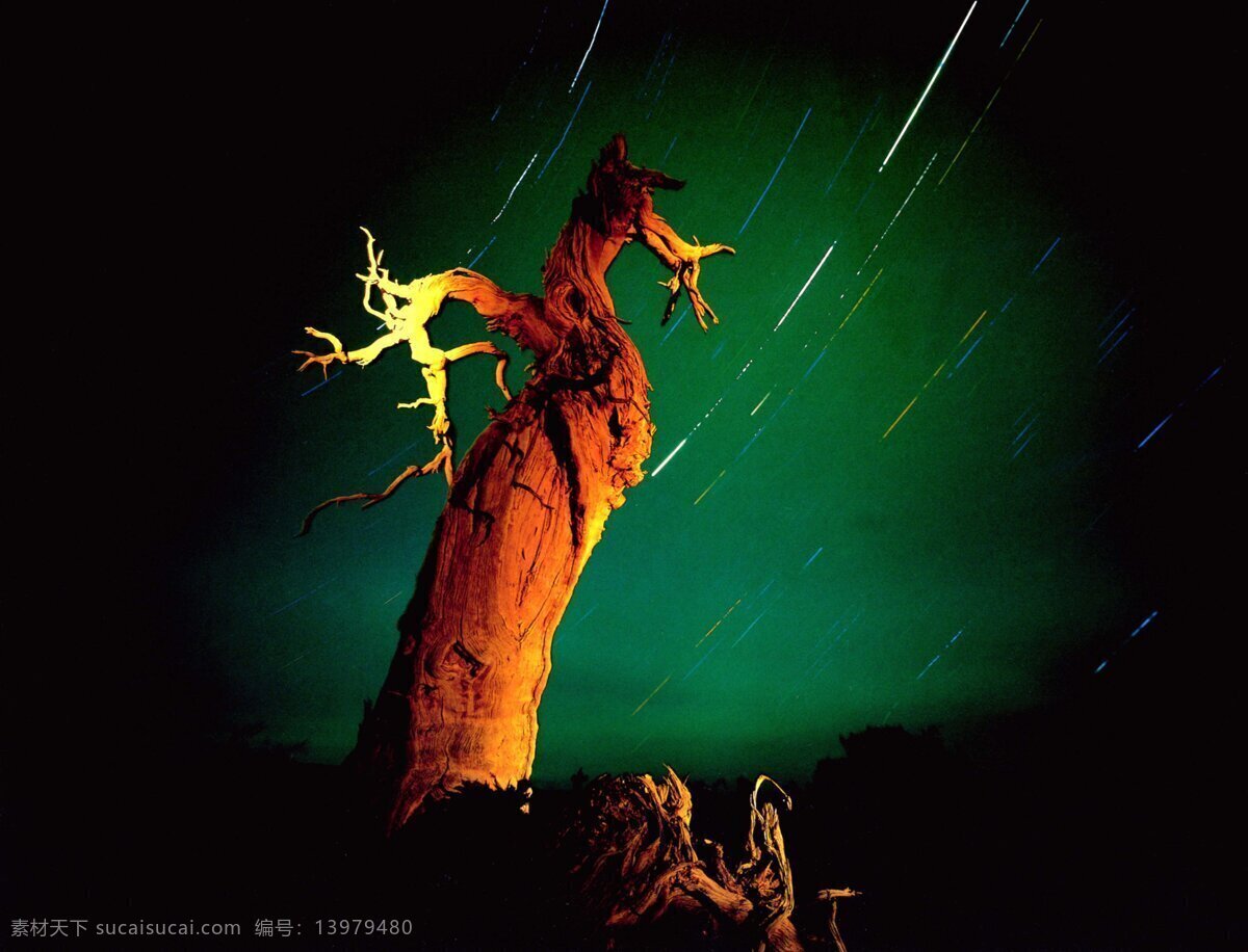 斗转星移 单门图 风景 流星 梦幻色彩 树木 晚上 下雨 星星 树木和流行 夜间 残树 闪电雷鸣 原始生态 生活 旅游餐饮