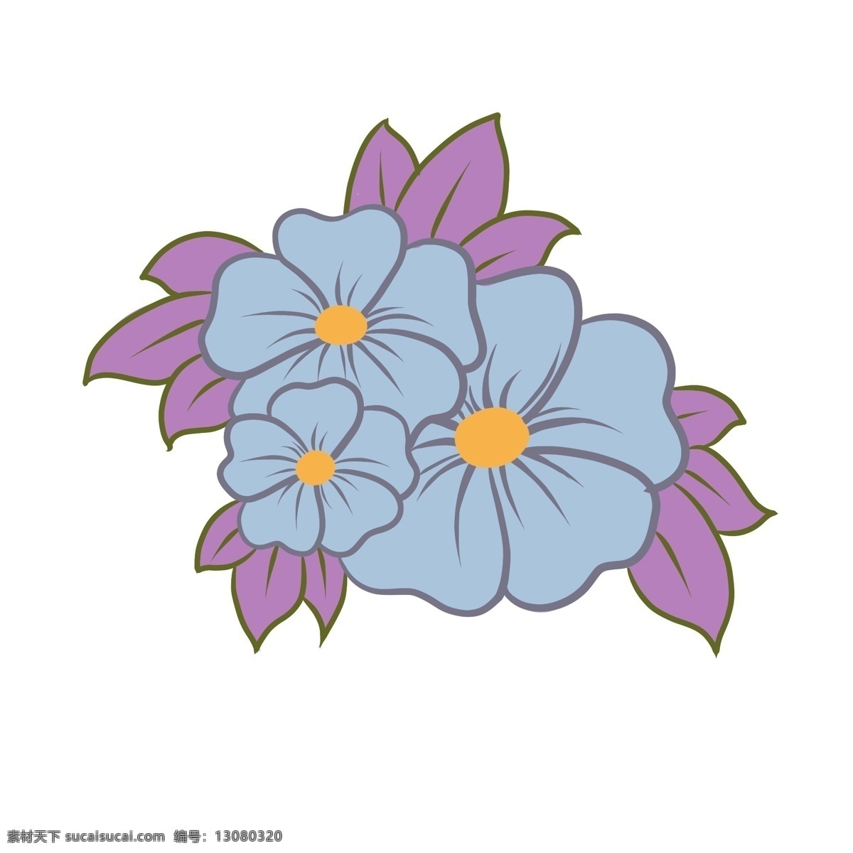 紫 蓝色 花朵 植物 鲜花 花卉