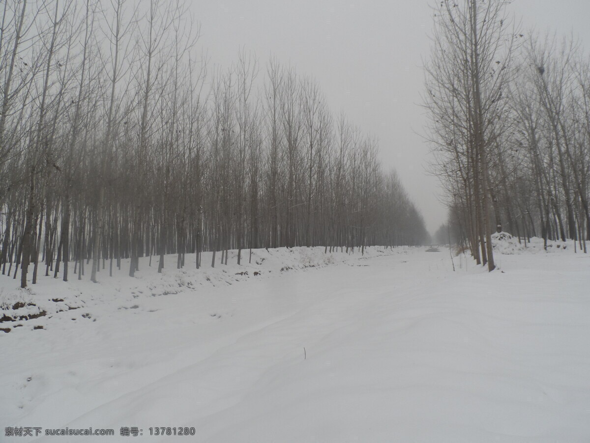 白雪下的乡村 雪天 农村 冬季 乡村 旅游 下雪 自然景观 自然风景 灰色