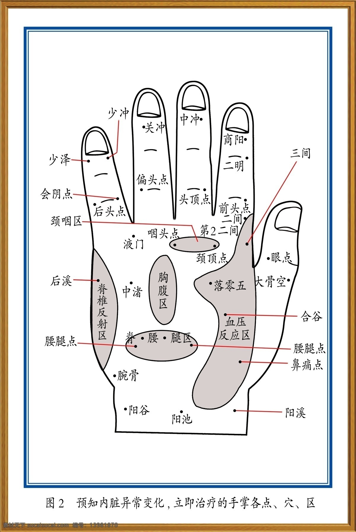 手掌图 看手治病 医学 手象 分层 源文件库