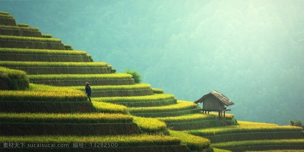 美丽的梯田 美丽 梯田 太阳 阳光 绿地 绿色 自然景观 自然风景