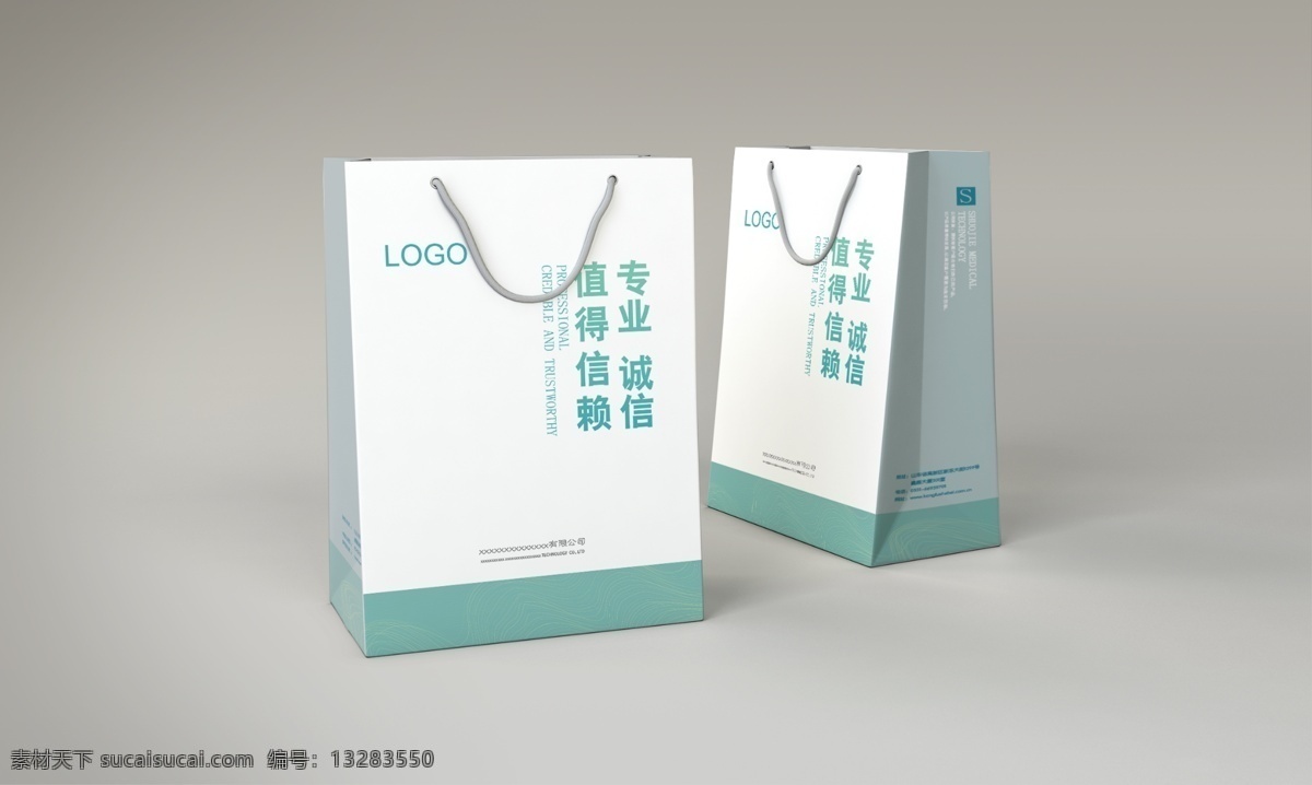 手提袋 公司 vis 平面设计 vi设计