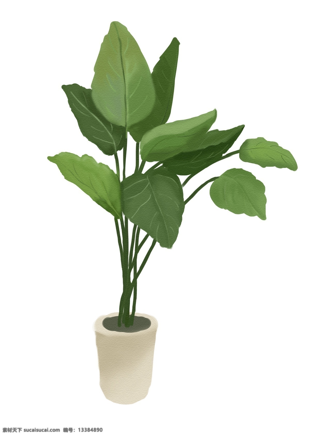 植物 手绘 小 清新 简约 绿色植物 室内装修 安全健康 绿植手绘 小清新 安静居家 简约手绘 绿色专享