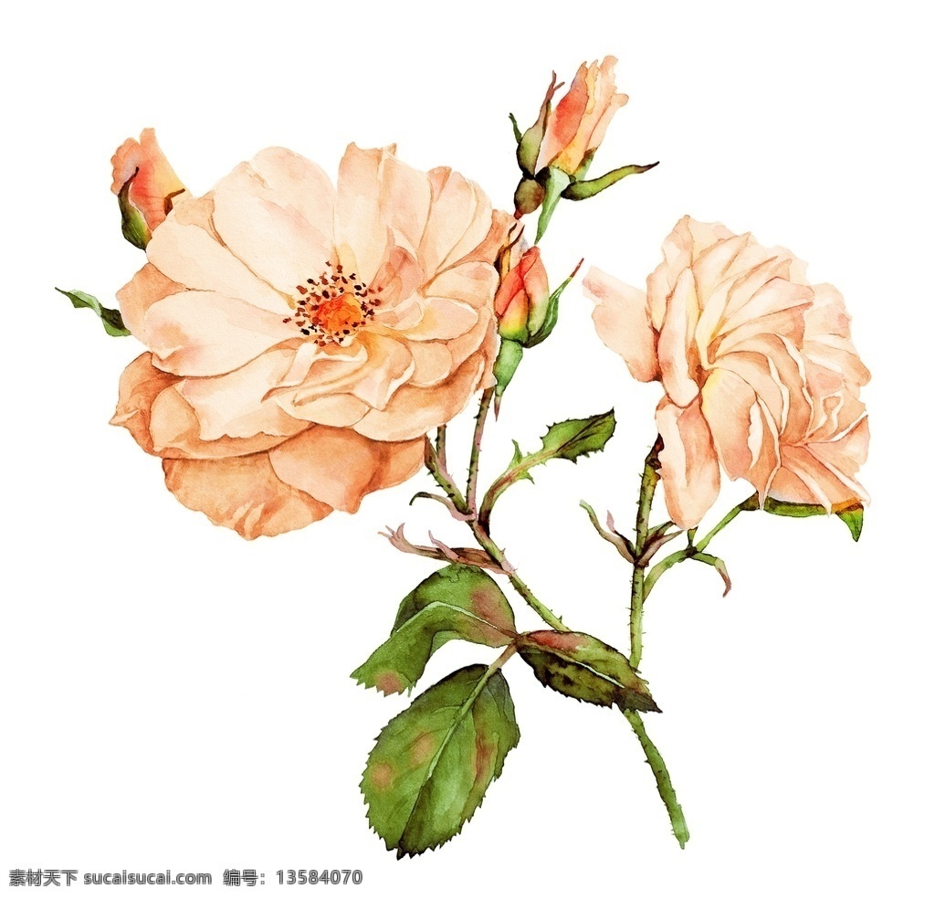 花卉图片 花卉 数码 印花 花朵 服装设计 数码设计