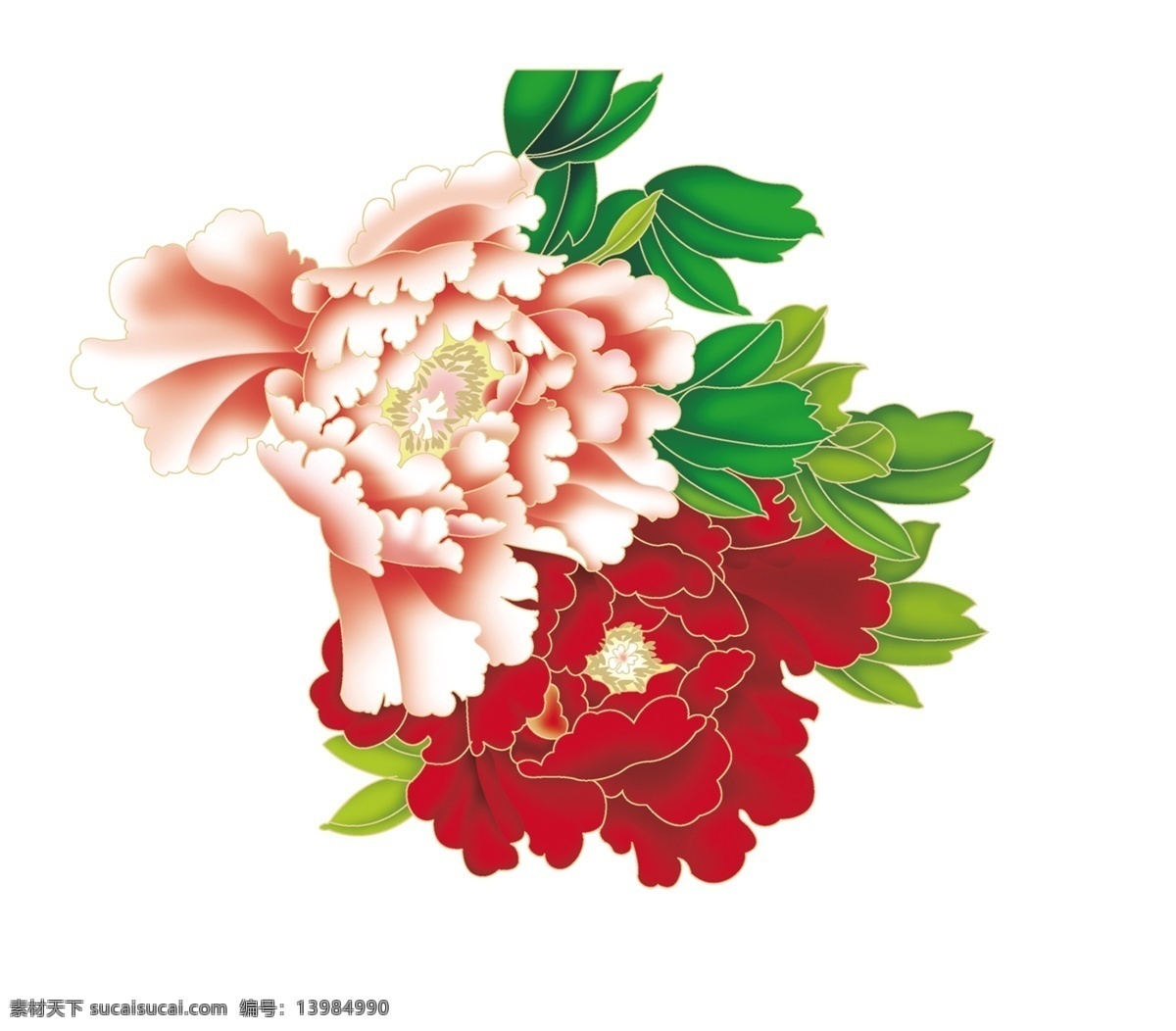 牡丹花素材 花朵 牡丹花 源文件 装饰画