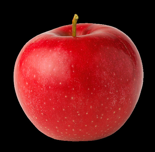 蔬菜 食品 新鲜 美味 美食 素食 切开苹果 嘎啦苹果 新疆苹果 新鲜水果 早熟苹果 水果 水果摄影 糖心苹果 红富士苹果 苹果剖面食物 蔬菜水果 水果蔬菜