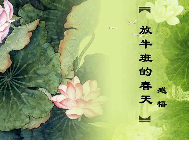 放牛 班 春天 模板 ppt模板 荷花 荷叶 影片感悟 中国 风