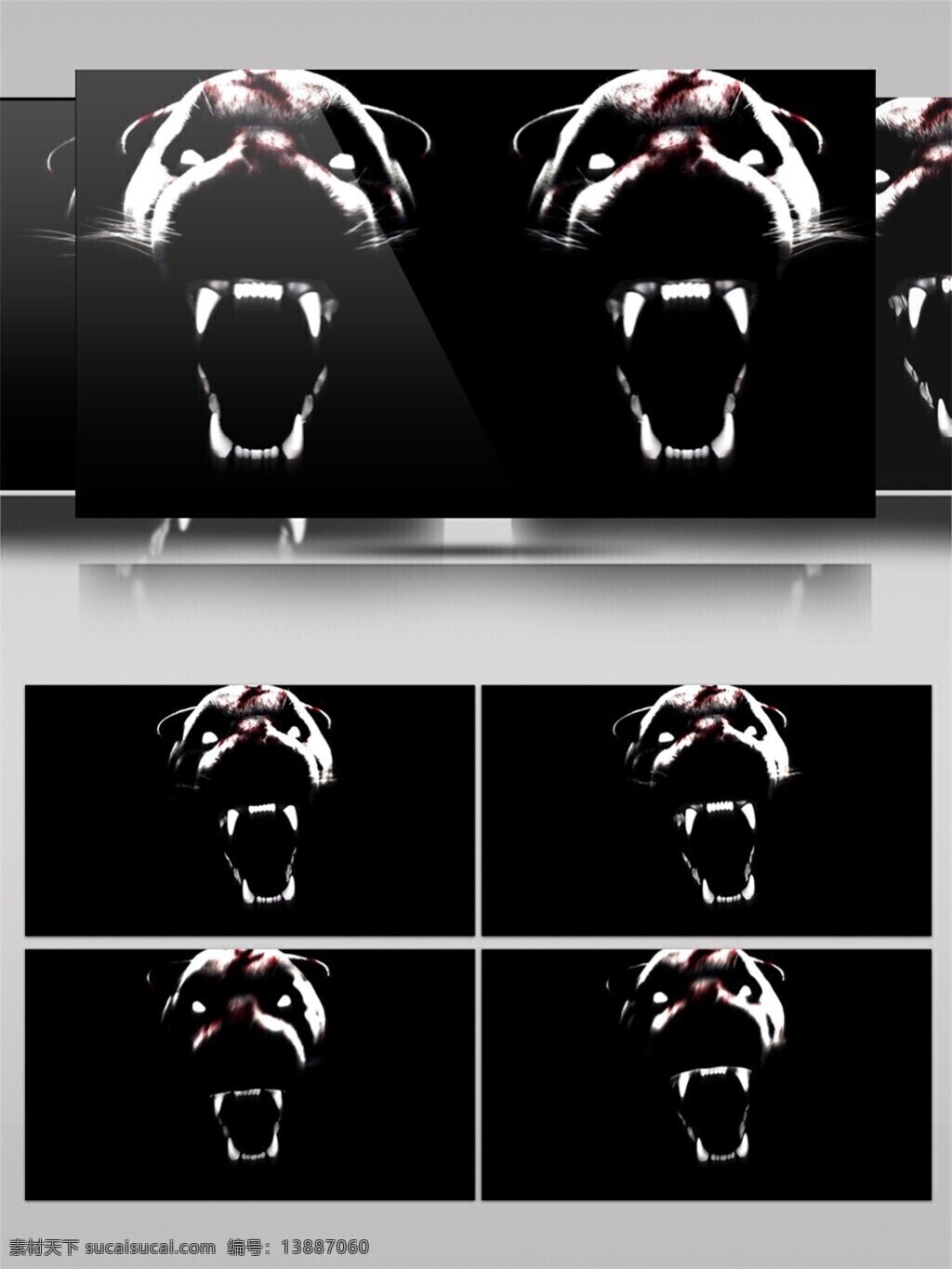动物 高清素材 光景素材 黑色 激光 唯美素材 怒吼 熊 动态 视频