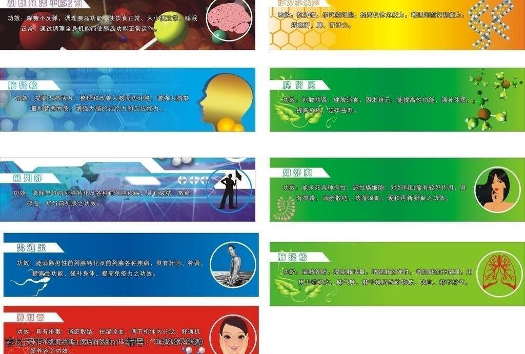 肺 肝 高科技 美容 脑 排毒 前列腺 肾 生活百科 生物药品 矢量 模板下载 药品宣传单 药品 生物 高分子 利糖 血清 蛋白 脑轻松 养颜 脾 壮阳 医疗保健