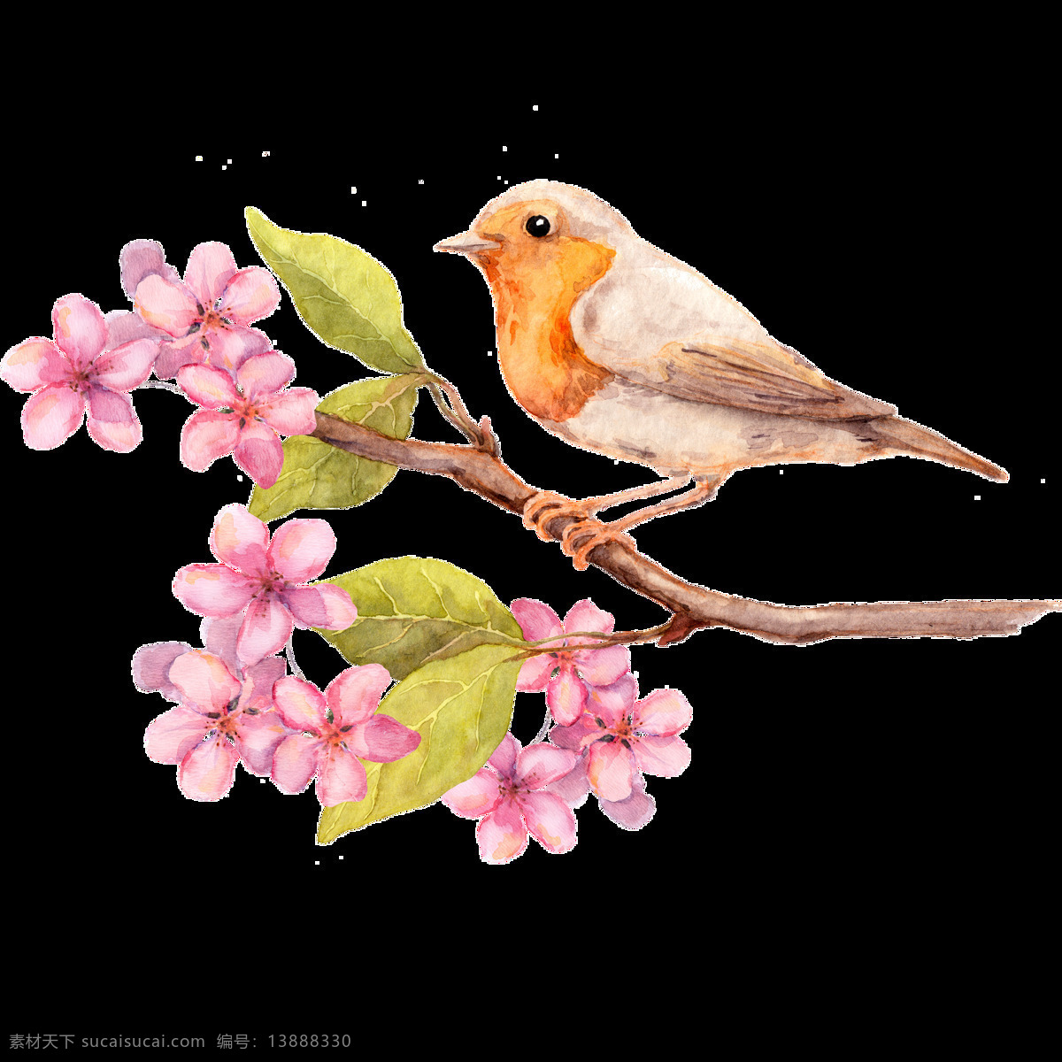 唯美 静态 鸟儿 绘画 粉色花朵 灵动的鸟儿 生动 形象 写实