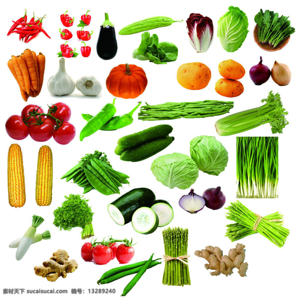 各种蔬菜 高清 cdr格式