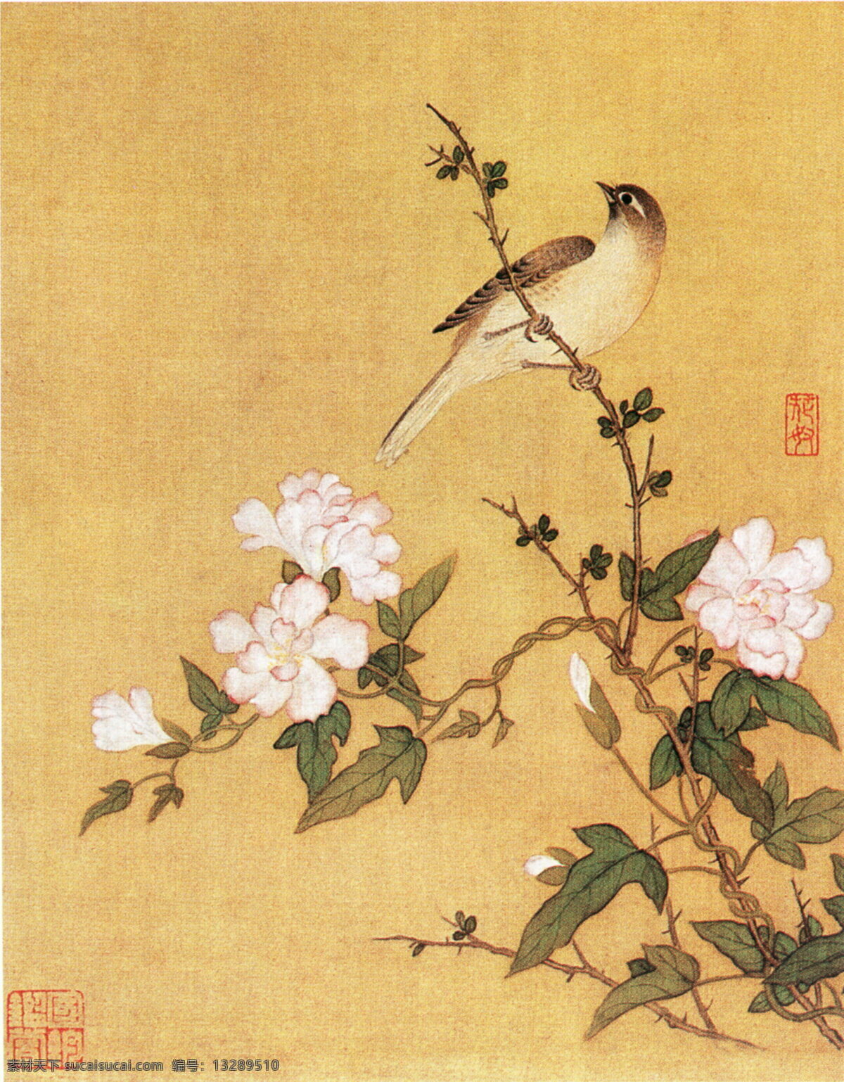 花卉草虫图b 花鸟画 中国 古画 中国古画 设计素材 花鸟名画 古典藏画 书画美术 黄色