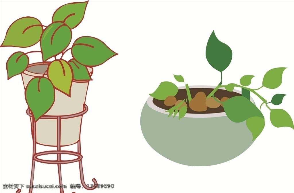卡通绿萝 卡通植物 绿色植物 绿萝 室内植物 卡通花草 卡通设计