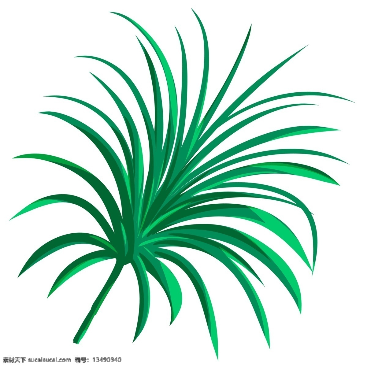 热带植物绿叶 热带植物 绿叶 叶柳