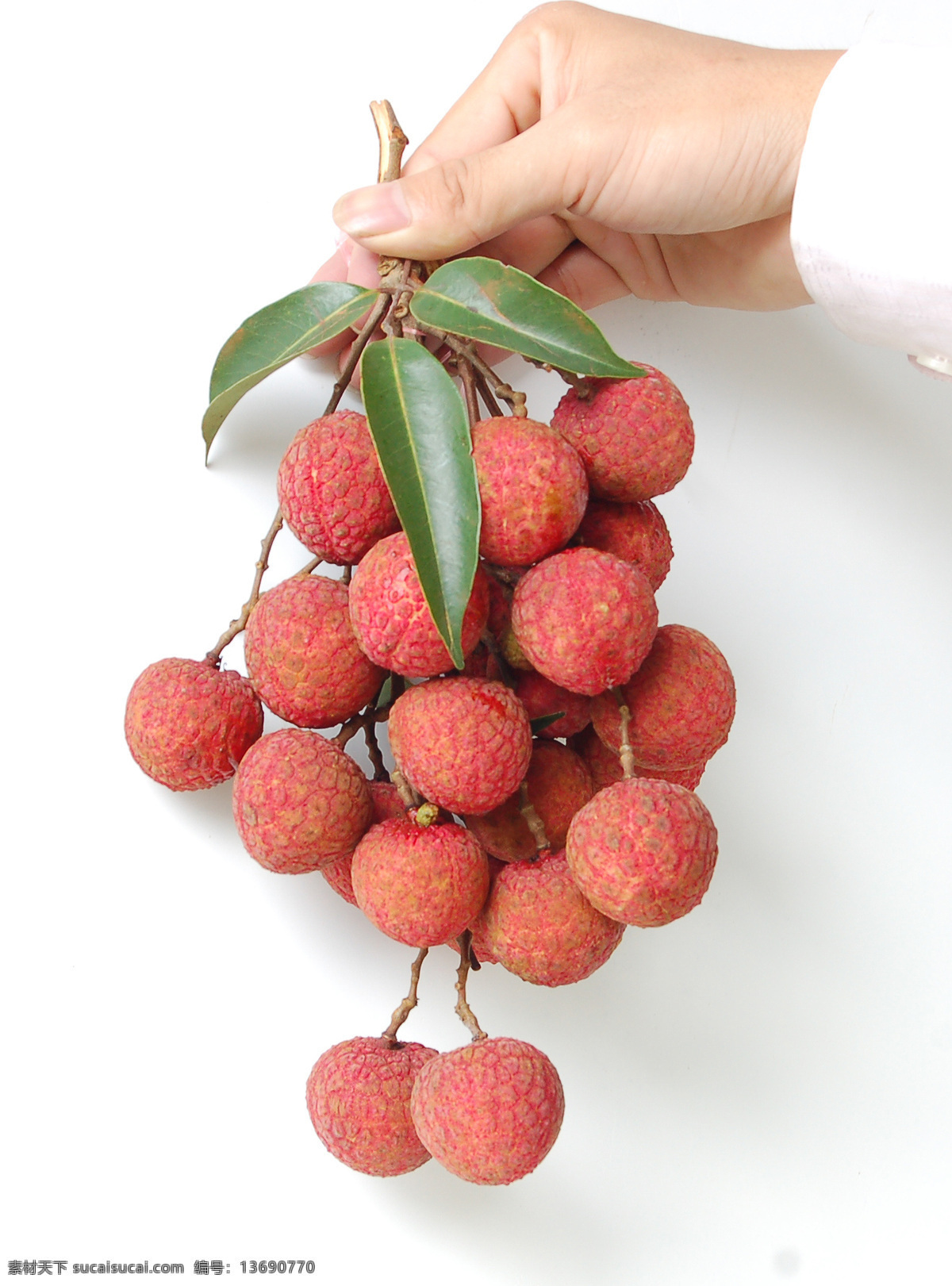 荔枝 荔枝树 红色果 水果 桂味 生物世界