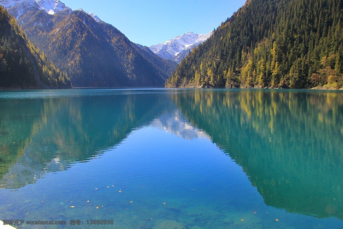 四川九寨沟 四川山水 四川 九寨沟 九寨沟风景 九寨沟山水 山水 树木 旅游摄影 国内旅游