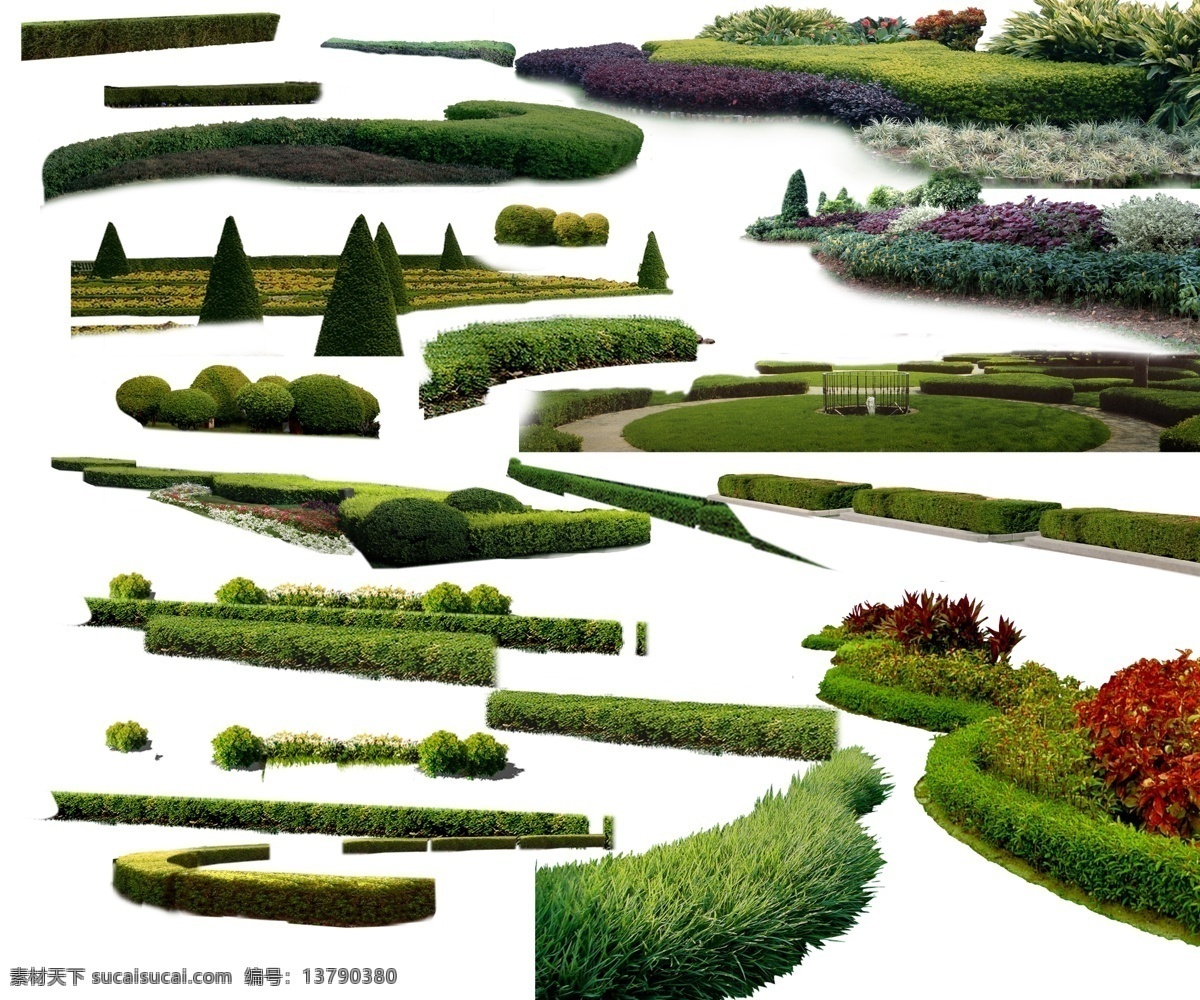 各种绿篱素材 绿篱 分层 造型 超大型文件 植物 源文件