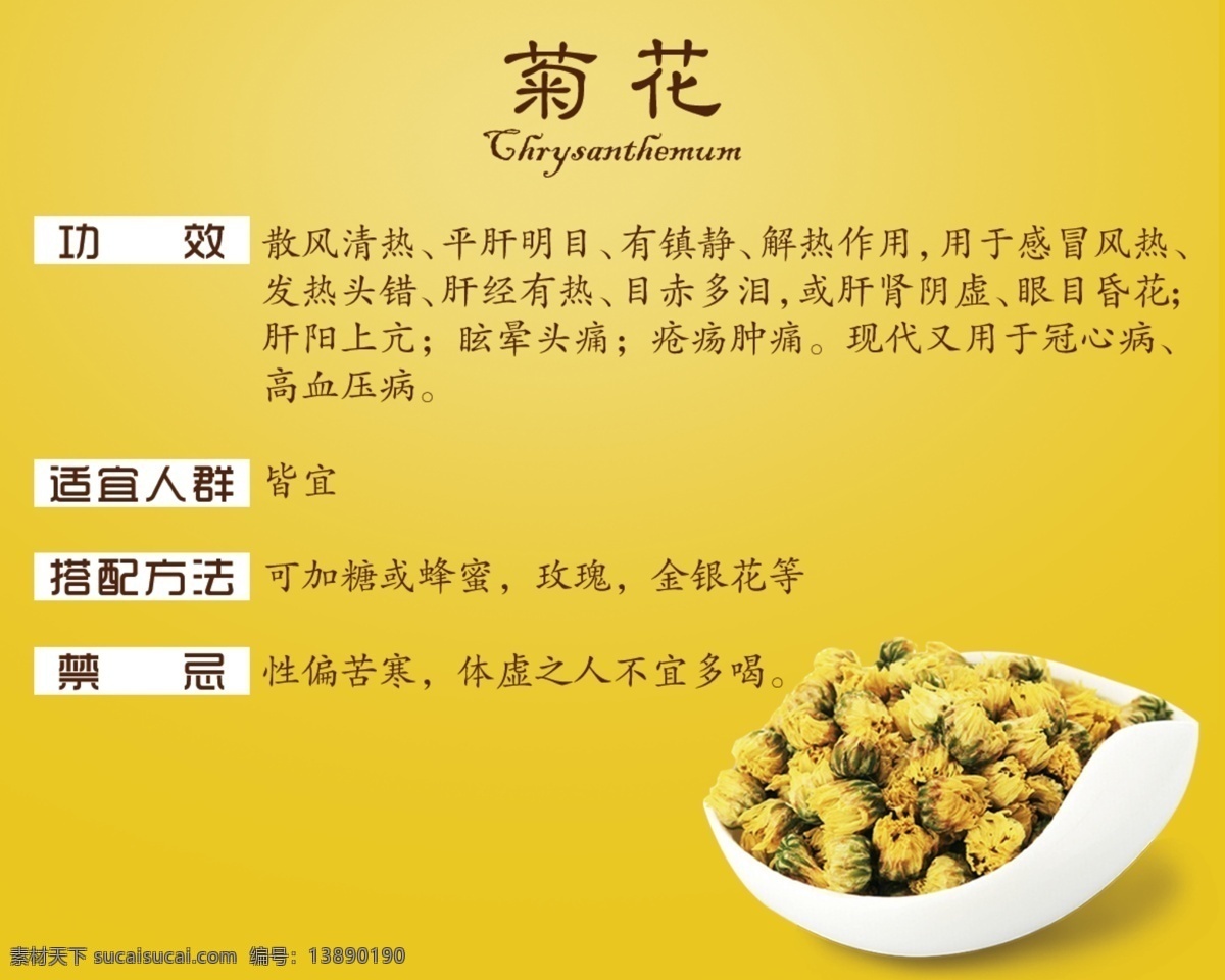 菊花功效 菊花 功效 菊花茶 说明 简介 黄色 使用说明 介绍 功能 效果 喝茶
