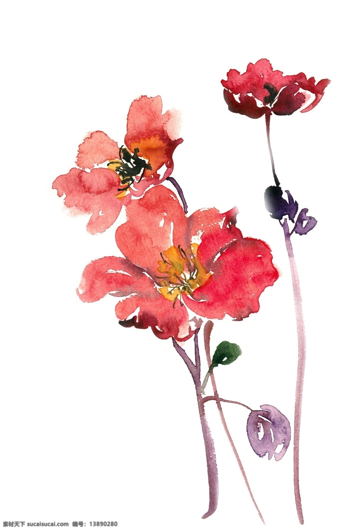 红色 花朵 水彩画 免 抠 花卉 植物 意境 简约 水彩 透明 手绘 盛开 优美 花丛 写意 免抠 亮丽 清幽 绘画 逼真 写实