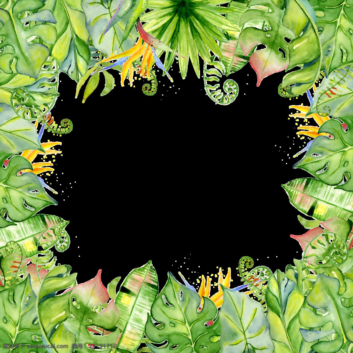 手绘 香蕉叶 边框 透明 芭蕉叶 鹤望兰 黄色 绿色 免扣素材 水彩 透明素材 叶子 装饰图案