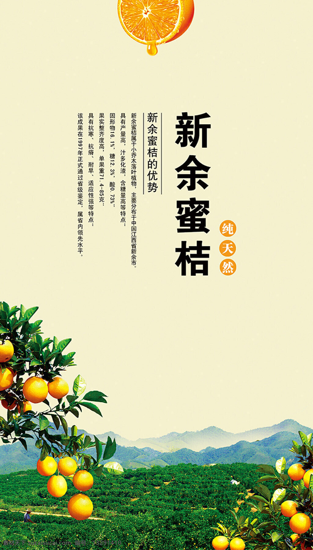 蜜桔 水果 海报 蜜桔水果 海报素材 新余蜜桔 白色