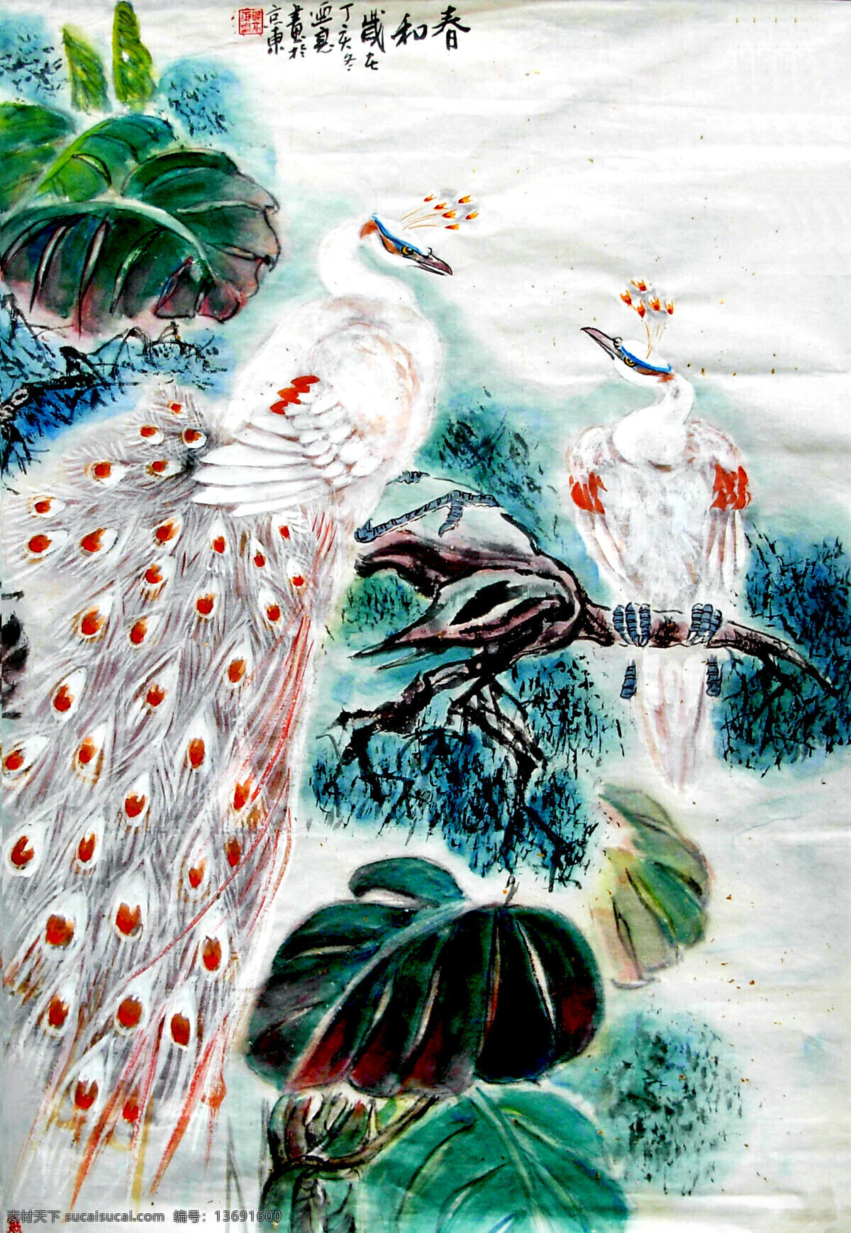 白孔雀 彩墨画 国画艺术 花鸟画 绘画 绘画书法 孔雀 美术 春和 中国画 鸟 植物 树木 书法 印章 国画集41 文化艺术 装饰素材 雕刻 图案