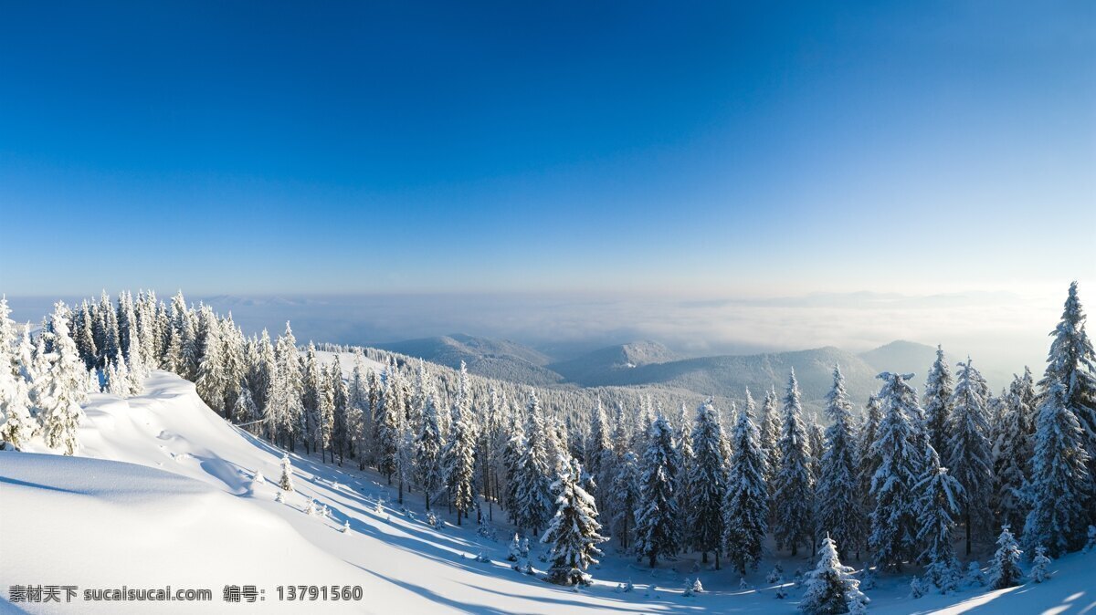 冬天的森林 冬天 雪 森林 树木 山顶 阳光 山 蓝天 自然景观 自然风光