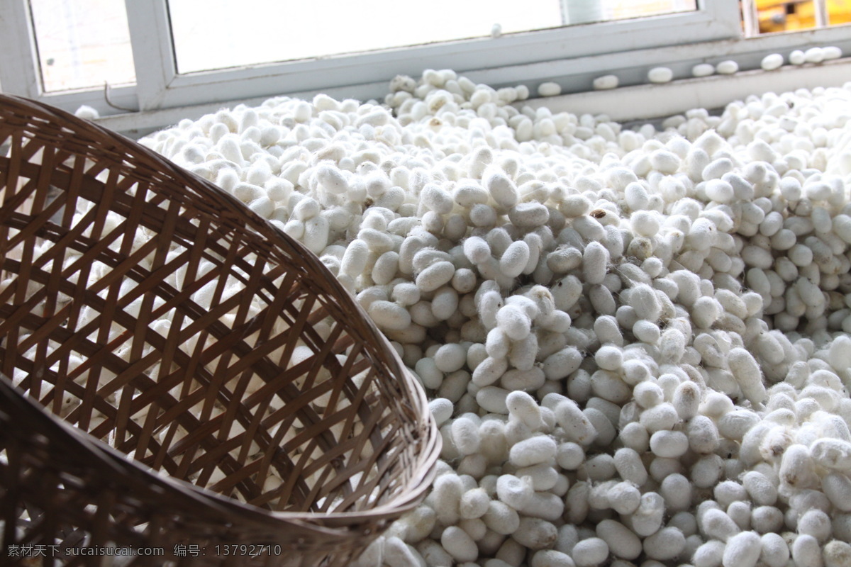 蚕丝 企业 厂区 桑蚕 原料 加工 生产 丝绸 活动场景 现代科技 工业生产