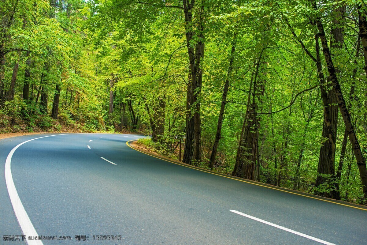公路 路 道路 马路 柏油路 树林 汽车公路 自然景观 自然风景 绿色