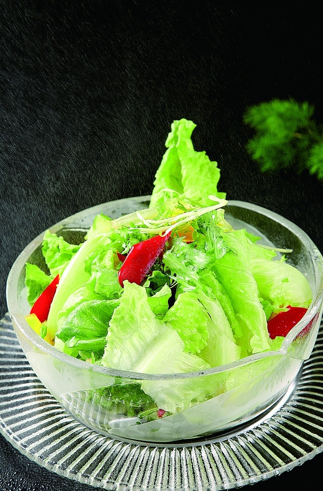 浙 菜 养生 盆 盆菜 川菜 鲁菜 粤菜 苏菜 浙菜 闽菜 湘菜 徽菜 沪菜 东北菜 清真菜 新疆菜 豫菜 广东菜 山东菜 北京菜 鄂菜 炒菜 家常菜 特色菜 热菜 美食 美味 八大菜系 中餐 菜谱 菜名 小炒 炒饭 烧菜 凉菜 菜肴 小吃 锅仔 干锅 餐饮美食 传统美食
