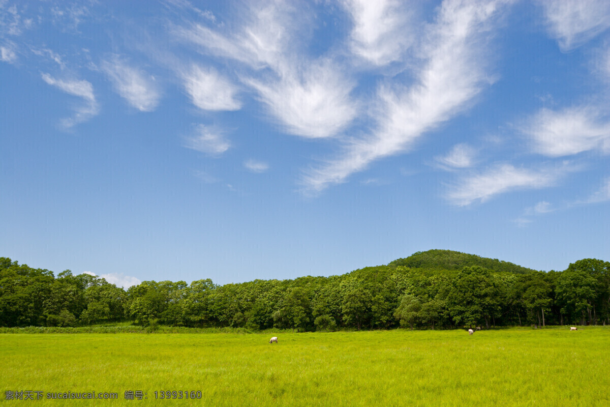 蓝天 下 牧场 自然风景 山水 景观 高清 田园风光 自然景观