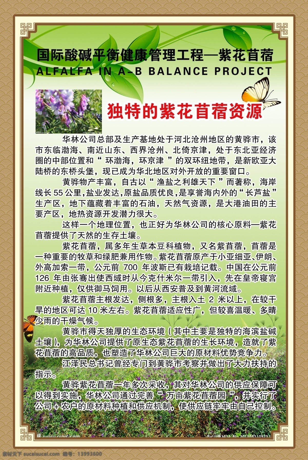 紫花苜蓿 资源 酸碱平衡 华林公司 健康管理 分层