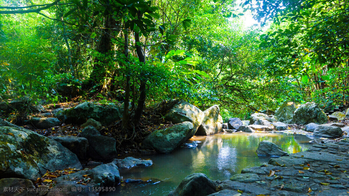 热带雨林图片 热带雨林 百花岭 山水景观 大自然 青山绿水 自然景观 山水风景