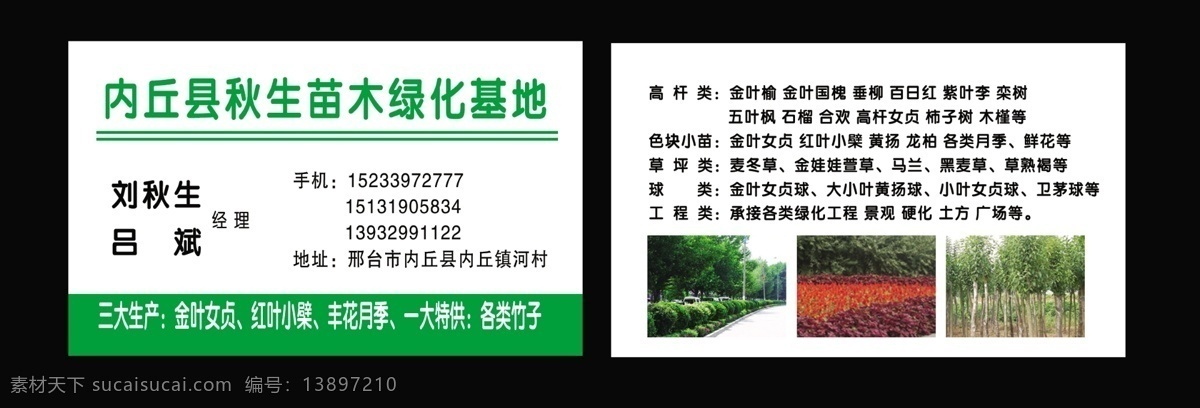 广告设计模板 绿化 名片 名片卡片 名片模板下载 名片素材下载 球类 源文件 苗木绿化基地 高杆类 色块小苗 草坪类 工程类 装饰素材 园林景观设计