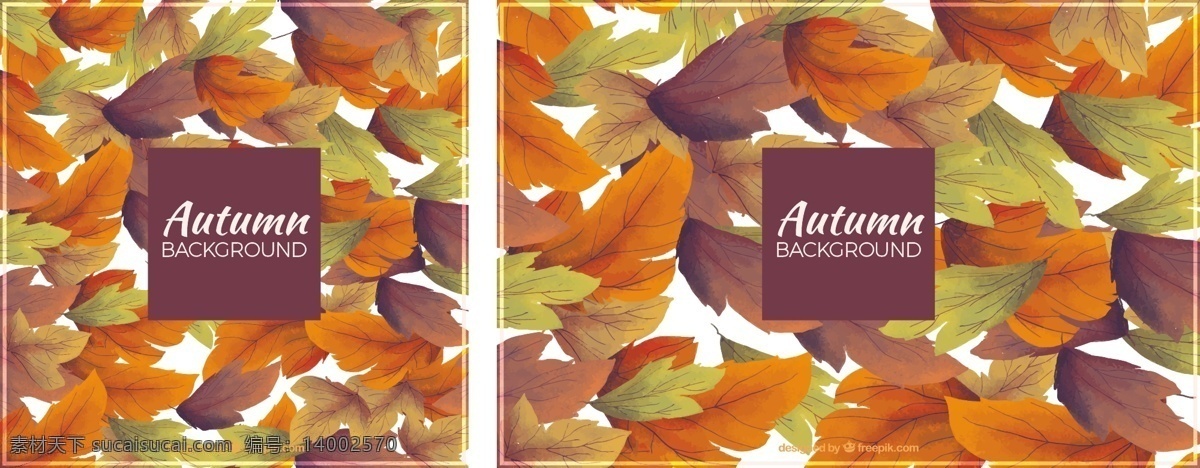 秋季 水彩 干燥 叶 背景 树叶 自然 秋天 树木 色彩 树枝 温暖 秋天的树叶 季节 落叶 暖色