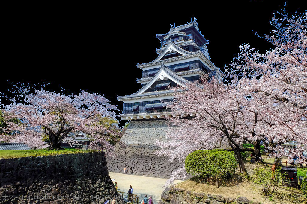 清新 樱花 实景 日本旅游 装饰 元素 楼塔 日本文化 植物 装饰元素