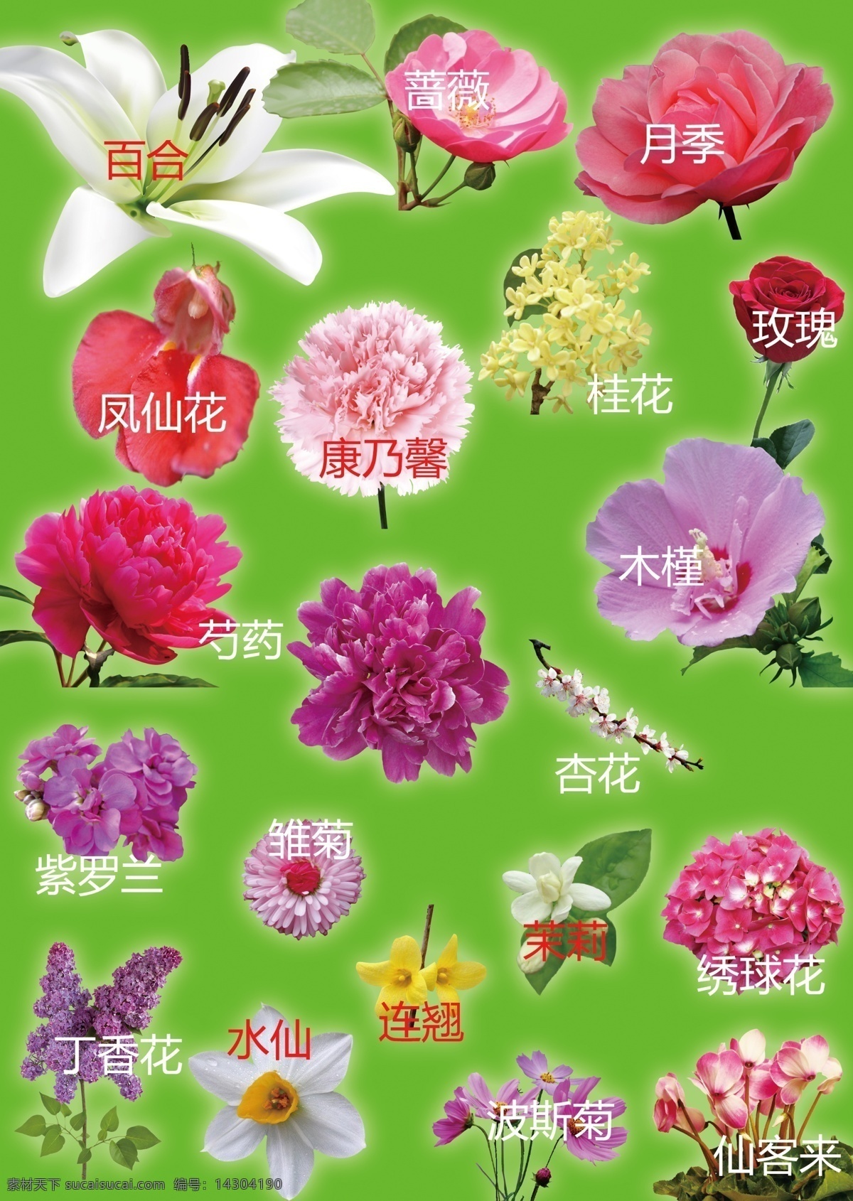 各种花卉素材图片下载-素材编号14304190-素材天下图库