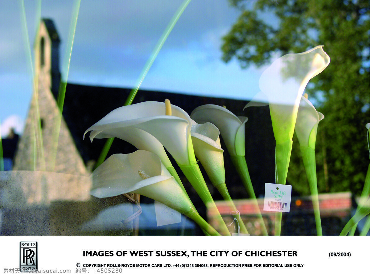 建筑摄影 建筑园林 奇切斯特 建筑 一角 西苏塞克斯郡 首府 橱窗玻璃 反射出的鲜花 家居装饰素材 展示设计