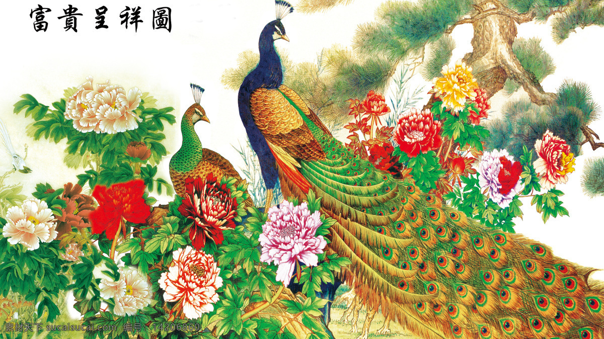 孔雀牡丹素材图片下载-素材编号14206860-素材天下图库