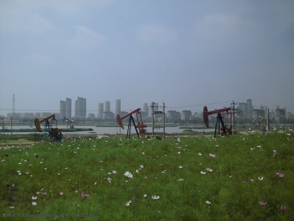 大庆油井 大庆油田 油井 郊区 花海花地 人文景观 自然风景 观光旅行 建筑园林 园林建筑