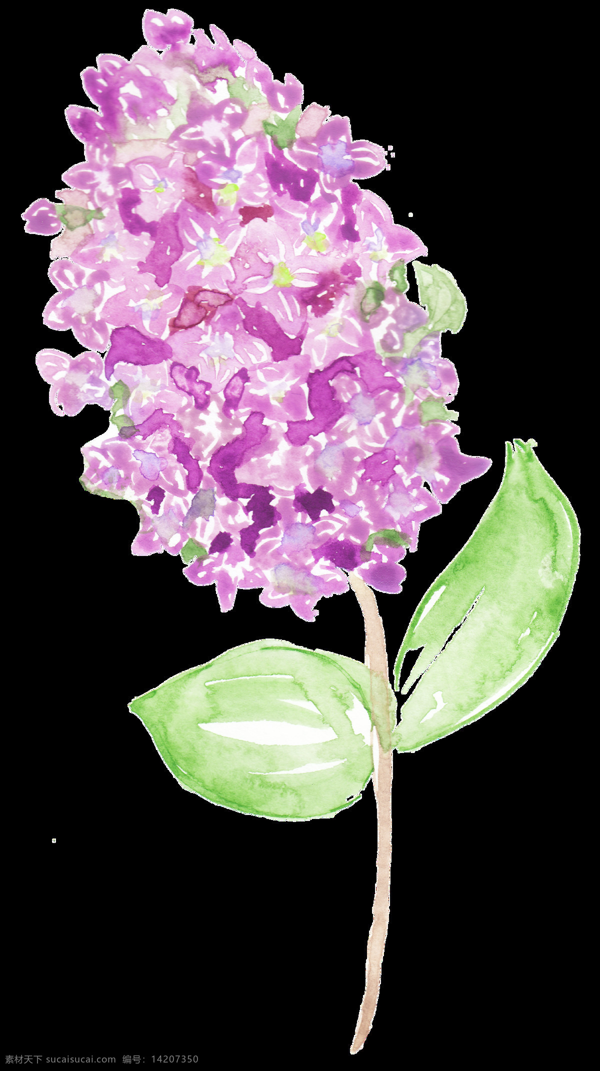 花心 紫 叶 卡通 透明 紫色 温暖 透明素材 免扣素材 装饰图案