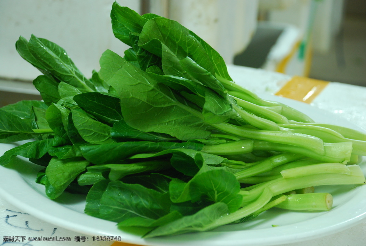 菜心 菜谱 菜园 绿色 青菜 生物世界 时蔬 蔬菜 素菜 时令蔬菜 风景 生活 旅游餐饮