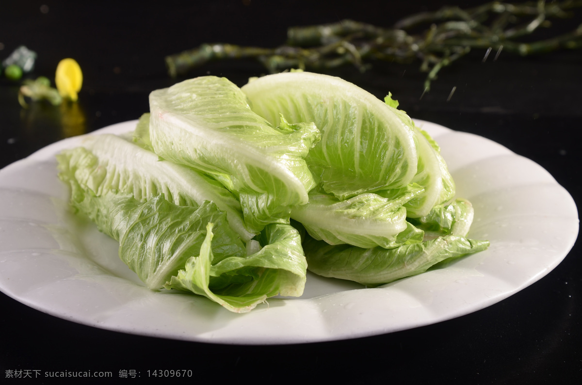 罗马生菜 菜肴 生菜 罗马 沙拉 新鲜 健康 蔬菜 绿色 开胃菜 餐饮美食 传统美食