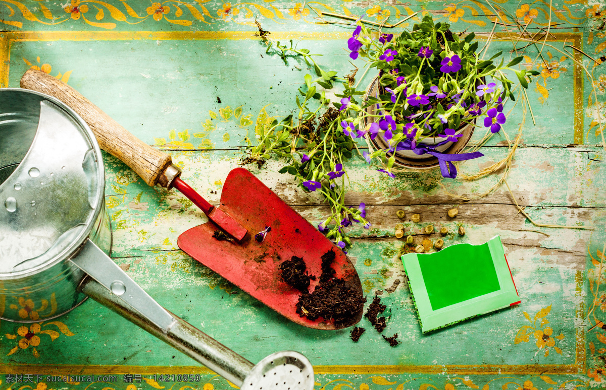喷壶 铁锹 鲜花 花朵 花卉植物 花盆 园艺工具 其他类别 环境家居 绿色